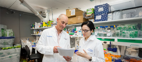 pipettesin laboratory