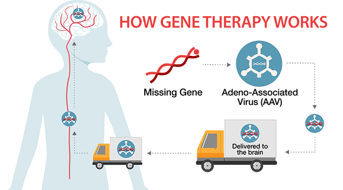 Therapeutic gene delivery mediated by non-viral vectors 