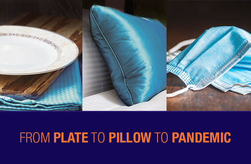 Pictures of a plate, a pillow, and a face mask with the text, 'From Plate to Pillow to Pandemic.'