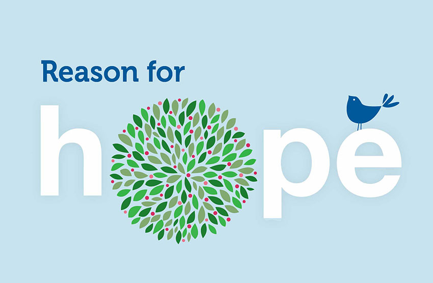 Reason for hope: Insights and Intel in the Fight Against Cancer. The 'O' in hope is tree leaves with a bird on the 'e'.